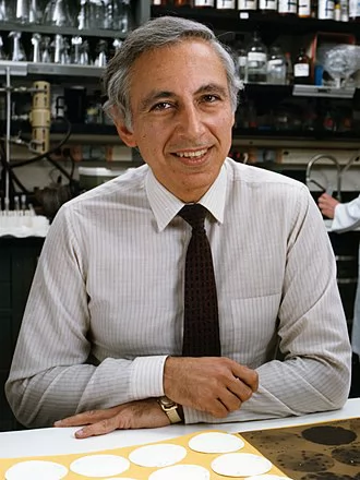 Robert Gallo